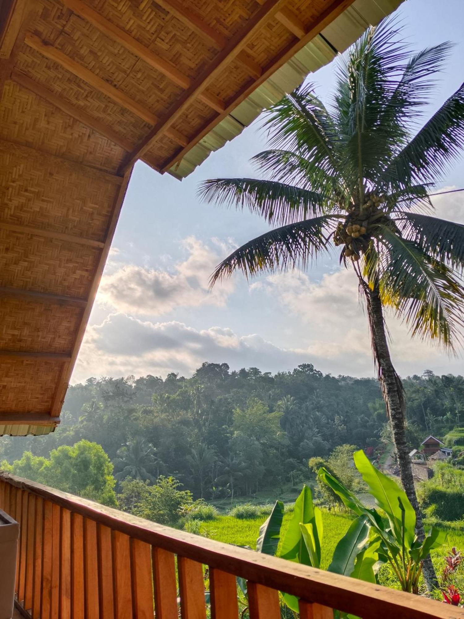 Dewi Rinjani Homestay Tetebatu Exterior photo