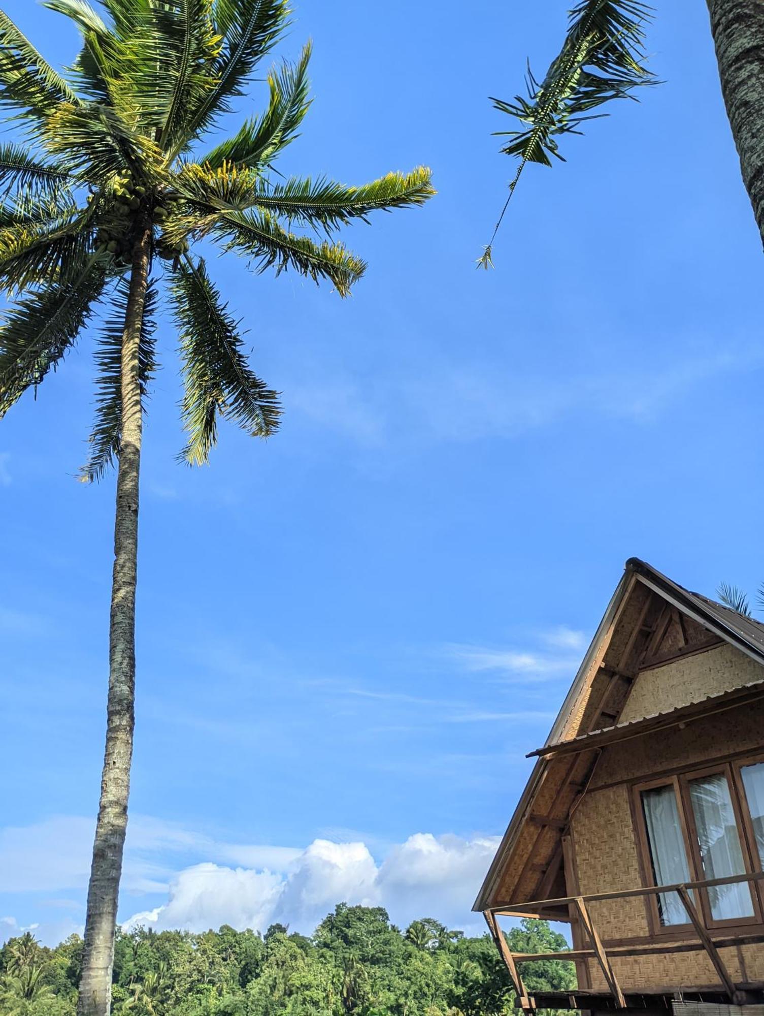 Dewi Rinjani Homestay Tetebatu Exterior photo